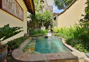 1 BR Villa near Ubud with a private plunge pool and a living area incl breakfast