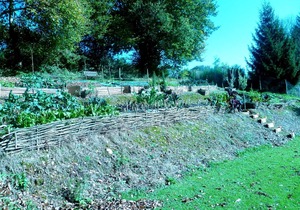 1 of 3 Gites set in 2 lovely acres-Pool-Games field -Wifi-lots to see/do nearby