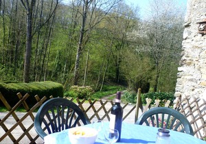 1 of 3 Gites set in 2 lovely acres-Pool-Games field -Wifi-lots to see/do nearby
