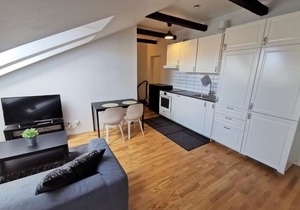 1 room apartment centrally located in Malmö - Skvadronsgatan 29