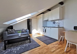 1 room apartment centrally located in Malmö - Skvadronsgatan 31 1501