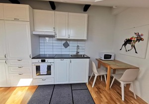 1 room apartment centrally located in Malmö - Skvadronsgatan 31 1501