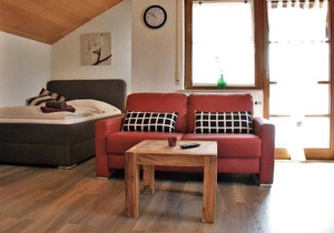 1-room apartment (top floor) no. 1 - BI apartments Mildenberger