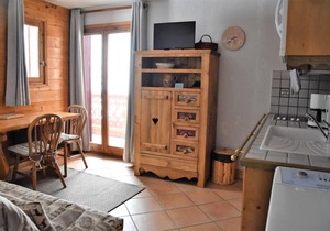 100m from ski slopes, 1st floor, balcony, tv, ski locker, 25m², Pralognan-la-Vanoise