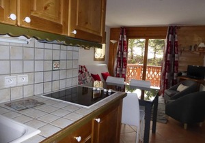 100m from ski slopes, terrace, tv, ski locker, 35m², Pralognan-la-Vanoise
