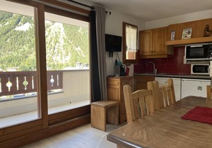 100m from ski slopes, 1st floor, balcony, tv, ski locker, 44m², Pralognan-la-Vanoise