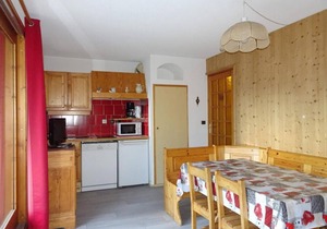 100m from resort center, 2nd floor, balcony, tv, ski locker, 44m², Pralognan-la-Vanoise