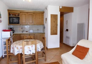 100m from ski slopes, terrace, tv, ski locker, 35m², Pralognan-la-Vanoise