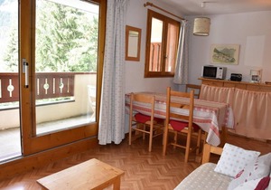 100m from ski slopes, 1st floor, balcony, tv, ski locker, 34m², Pralognan-la-Vanoise