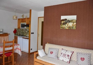 100m from ski slopes, 1st floor, balcony, tv, ski locker, 34m², Pralognan-la-Vanoise