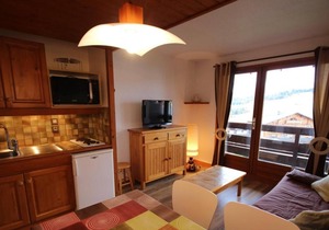 100m from resort center, 1st floor, view ski slopes, balcony, tv, ski locker, 22m², Les Saisies