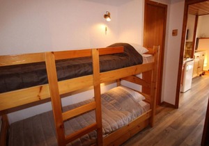 100m from resort center, 1st floor, view ski slopes, balcony, tv, ski locker, 22m², Les Saisies