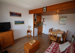 100m from resort center, 2nd floor, view ski slopes, balcony, tv, ski locker, 22m², Les Saisies