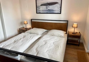 1029- Alte Da h me - Neu