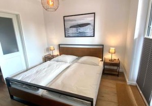 1029- Alte Da h me - Neu