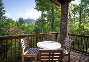 110 Saddle Notch Lane Lodge 2 at Bear Lake Reserve