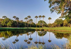 1157 Summerwind Cottage