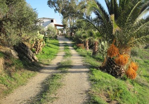 160 m² Villa ∙ 3 bedrooms ∙ 8 guests