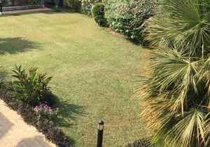 1BHK Luxury Homestay In Betalbatim South Goa 1km from the Beach