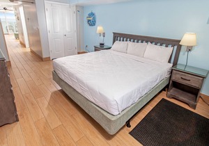 1BR/1BA Oceanfront condo w/Kitchen & Balcony in Center of MB, #955