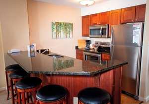1Br Ski-in, Ski-Out at Okemo Mountain Lodge