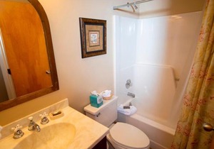 1Br Ski-in, Ski-Out at Okemo Mountain Lodge condo