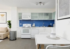 1BR Stunning view in DT Gastown (30 days min)