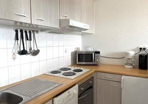 1st floor, balcony, tv, ski locker, 42m², Peyragudes