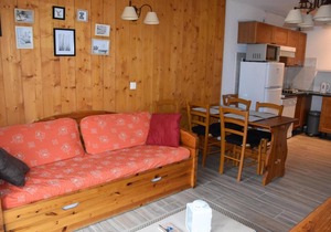 1st floor, swimming pool, balcony, parking, tv, ski locker, 36m², Pralognan-la-Vanoise