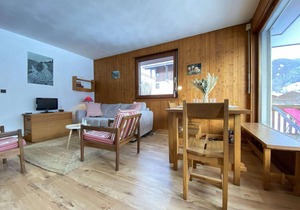 1st floor, view open, tv, ski locker, 41m², Praz sur Arly
