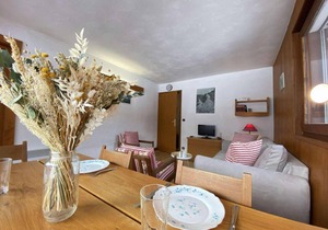 1st floor, view open, tv, ski locker, 41m², Praz sur Arly