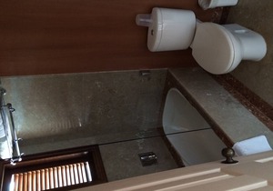 2 Bed luxurious apartment in Goa