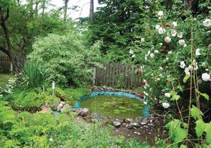 2 bedroom accommodation in Drezdenko