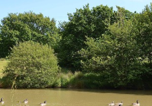 2 bedroom accommodation in Bridestowe, near Okehampton