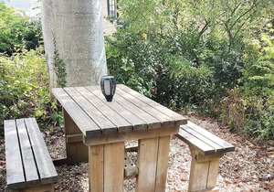 2 bedroom accommodation in Beaminster