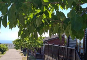2 bedroom accommodation in Hastings