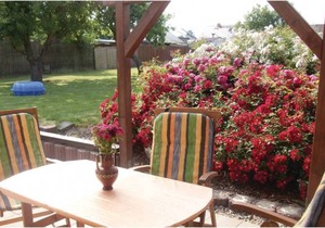 2 bedroom accommodation in Saal