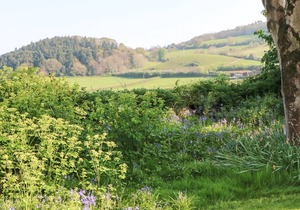 2 bedroom accommodation in Ellicombe, near Dunster