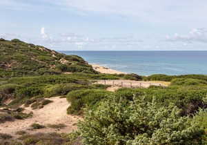 2 bedroom accommodation in Arbus