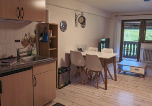 2 Holiday apartment Zum Wilden Michel