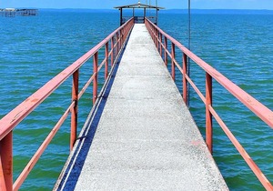 2 Houses, Waterfront, Gated, Kayaks, Canoe, 317 FT. Shaded Concrete Fishing Pier