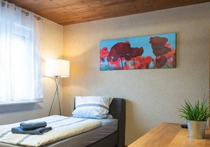 2-room apartment for 3 pers. No. 9 - BI Apartments Mildenberger
