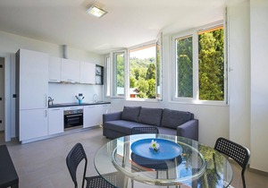 2-room corner apartment in a prestigious villa from 1850 with solar-heated pool