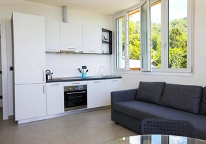 2-room corner apartment in a prestigious villa from 1850 with solar-heated pool