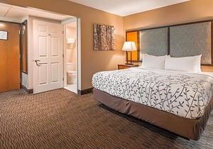2-Star Hotel ∙ Best Western Plus of Birch Run/Frankenmuth