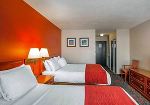 2-Star Hotel ∙ Comfort Inn and Suites University
