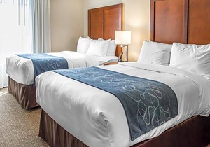 2-Star Hotel ∙ Comfort Suites Near Potomac Mills