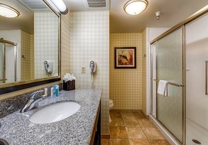 2-Star Hotel ∙ Hampton Inn & Suites Detroit/Airport Romulus