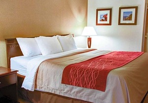 2-Star Hotel ∙ Quality Inn Florence