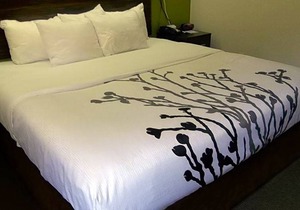 2-Star Hotel ∙ Sleep Inn Bryson City Cherokee